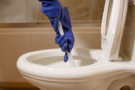 is rid x good for clogged toilets